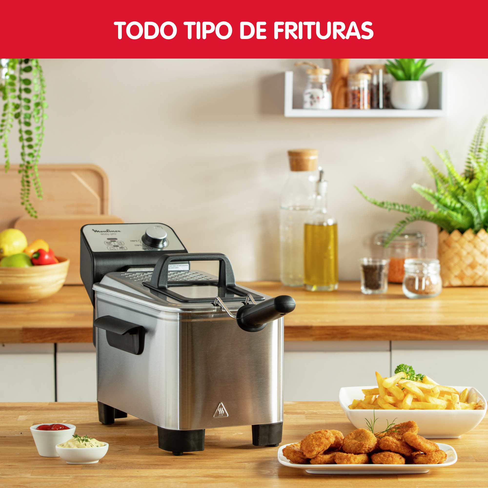 EasyPro, Freidora de aceite, 3 L, Apta para lavavajillas