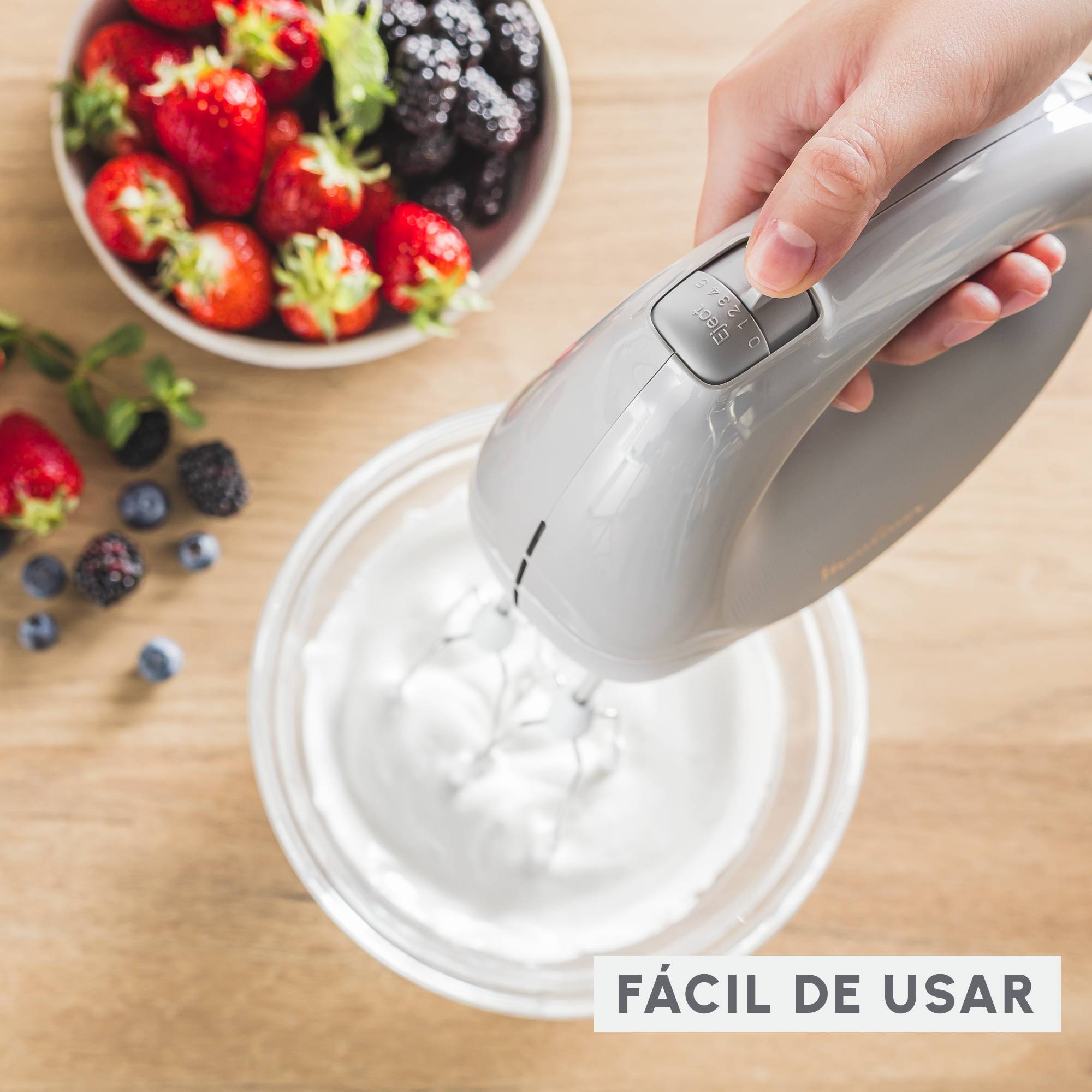 Easy Max, Batidora amasadora, 300 W, Compacta, Mezclas homogéneas, Preparación rápidas de salsas