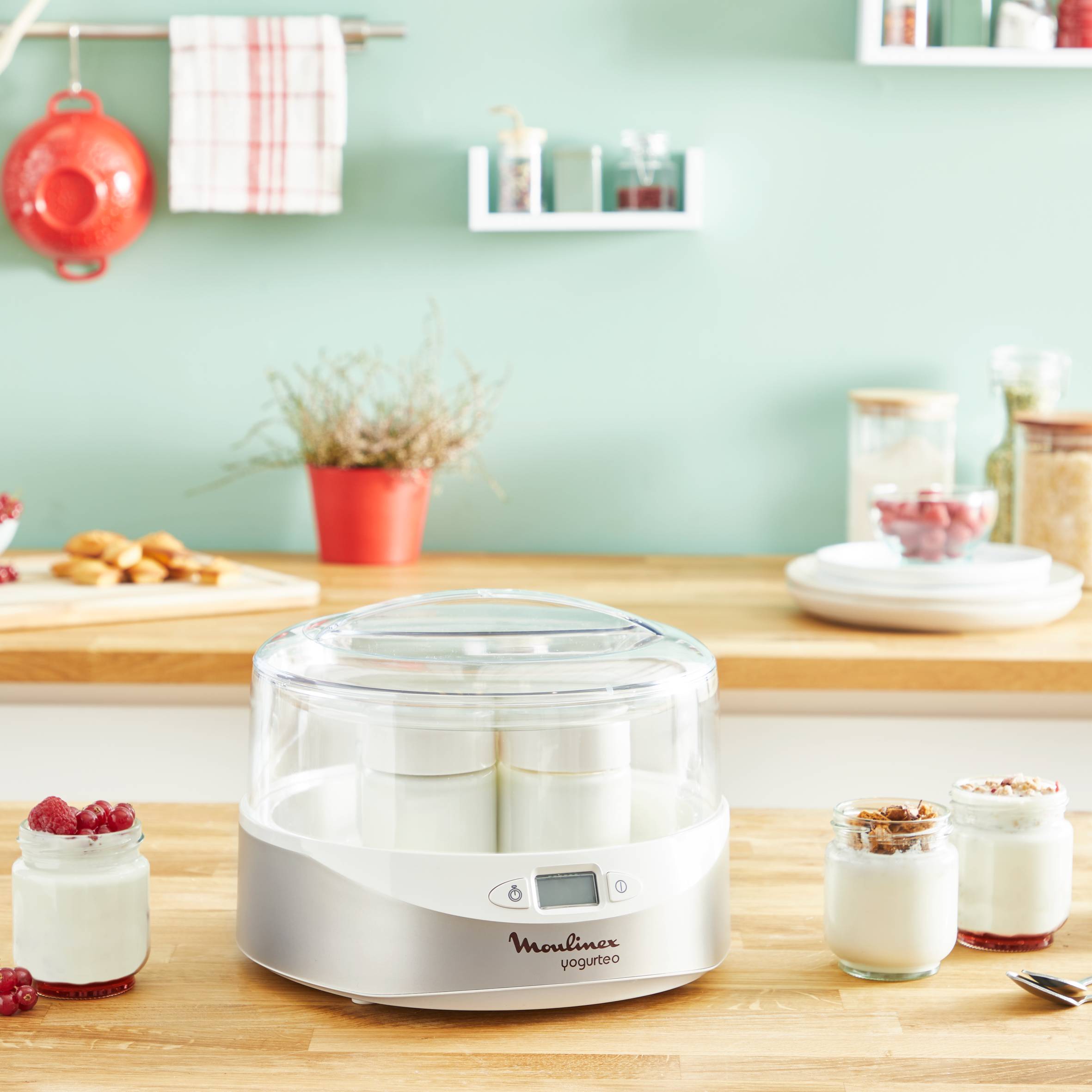 Yogurteo, Yogurtera, 7 tarrinas de 160 ml, Parada Automática, Plata