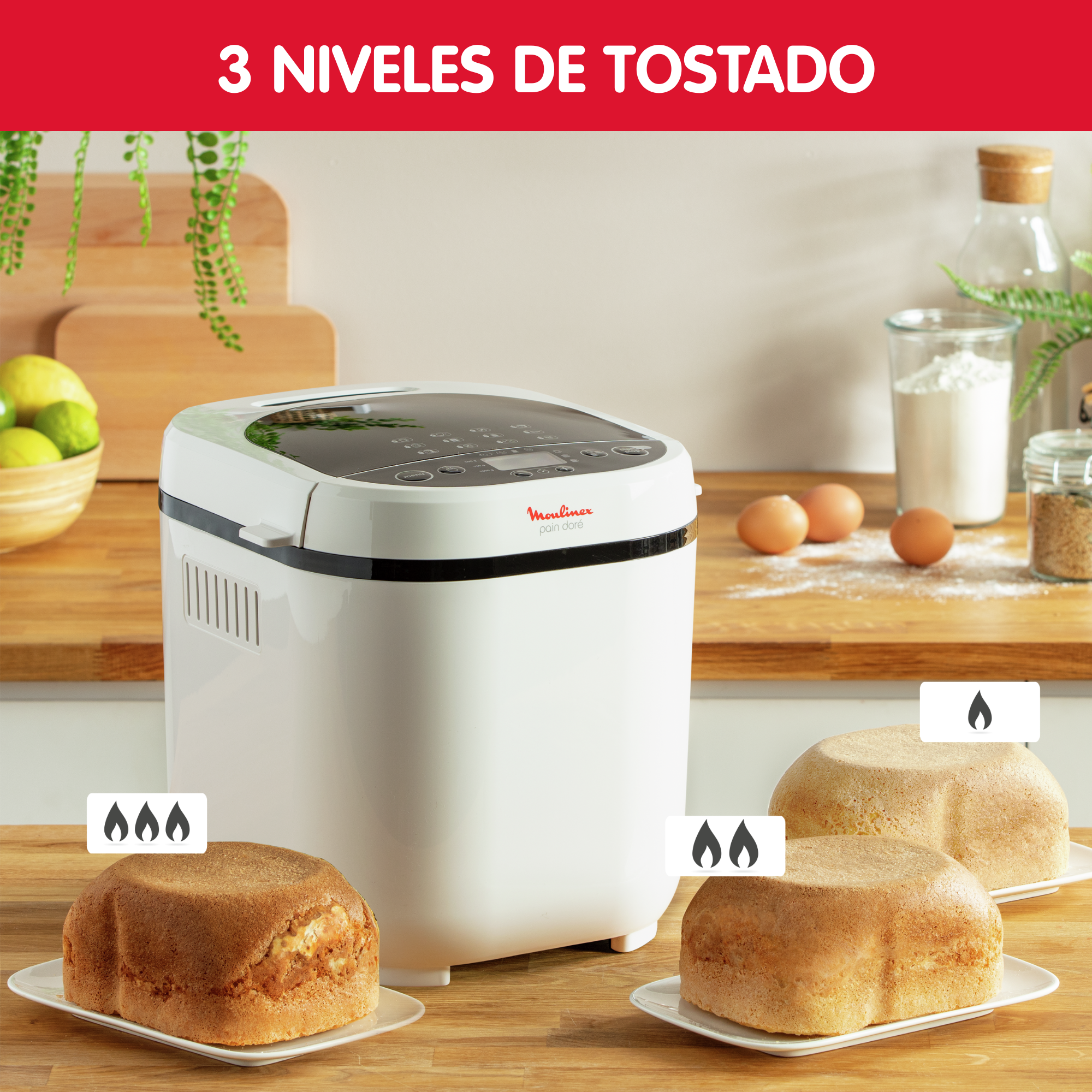 Pain Doré, Panificadora, 1 kg, 12 programas, 720 W, Pan casero