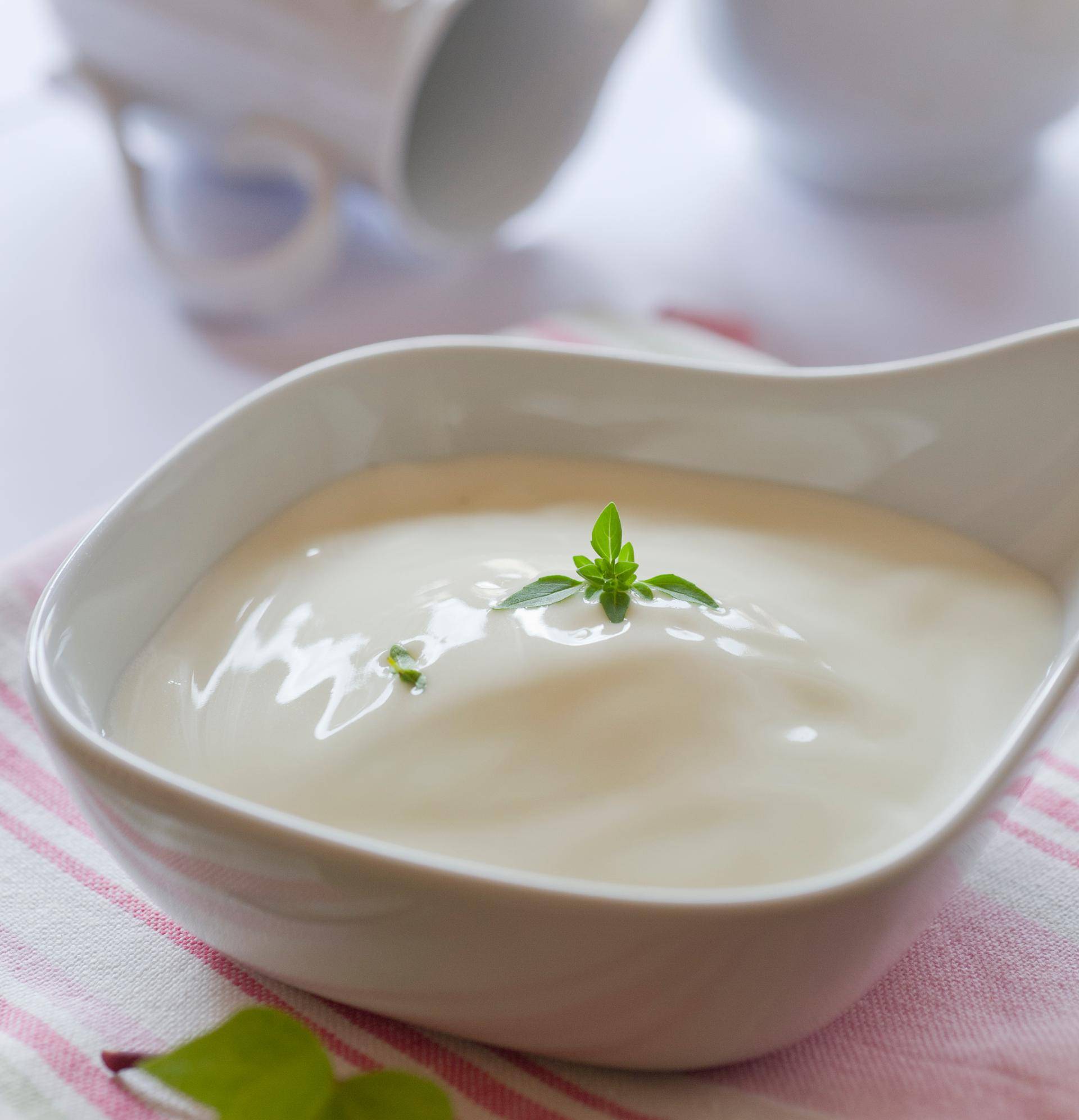 Bechamel - Receta Companion | Moulinex