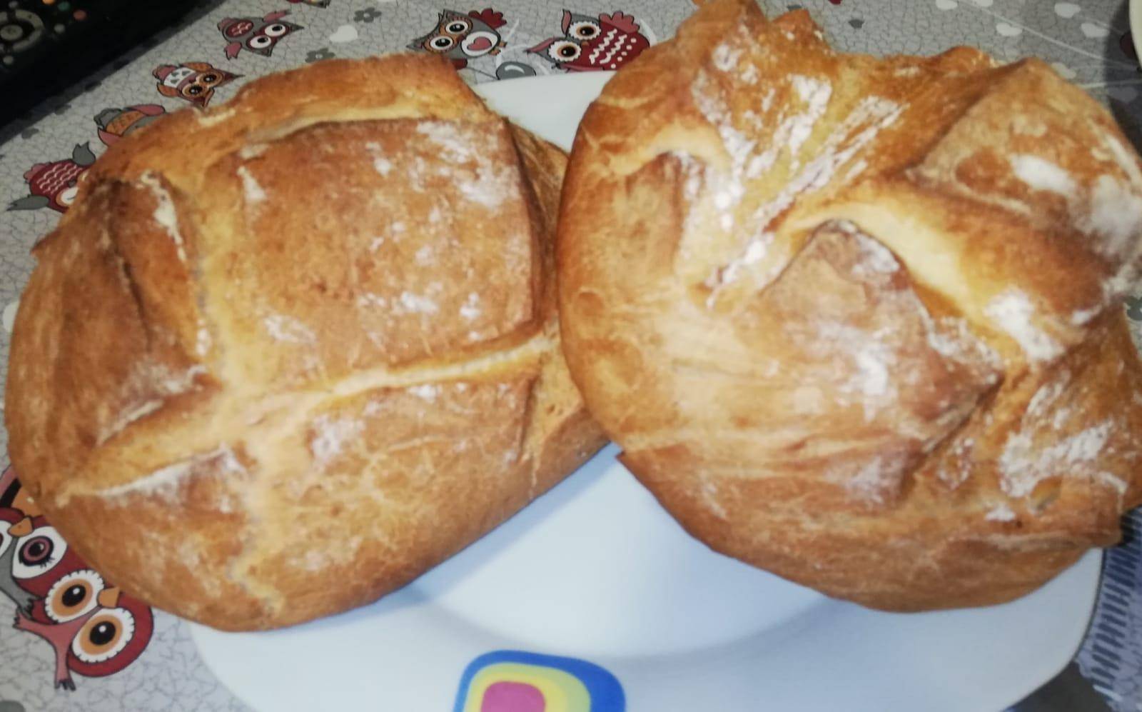 Pan Express - Receta Companion Connect | Moulinex